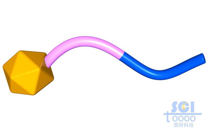 兩段式高分子鏈段帶靶頭/功能基團(tuán)