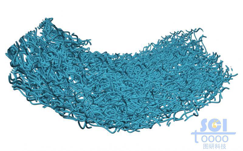 碳管交錯(cuò)堆積形成的多孔膜狀結(jié)構(gòu)