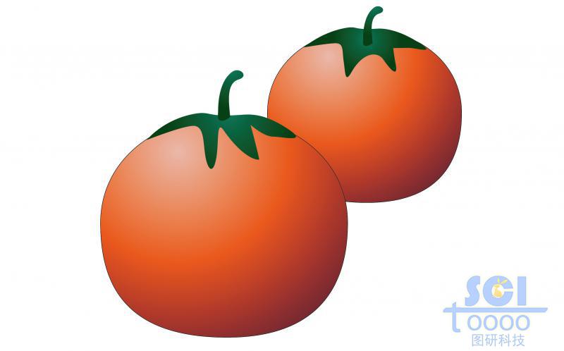 西紅柿/番茄