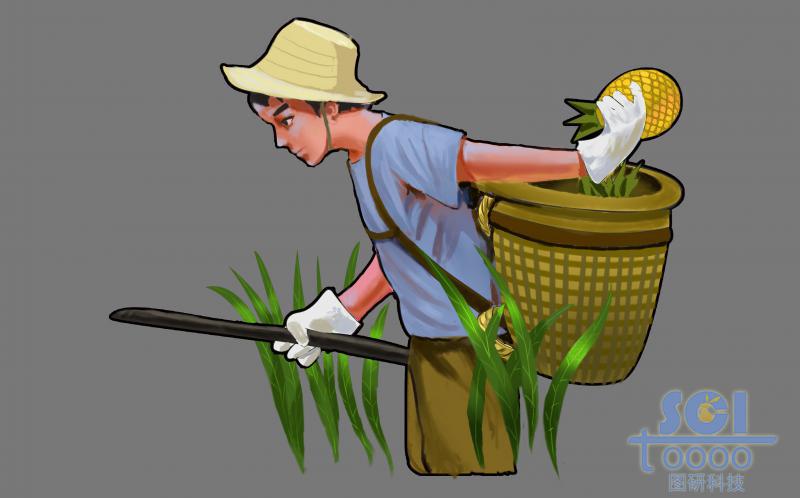 田中耕作的農(nóng)夫