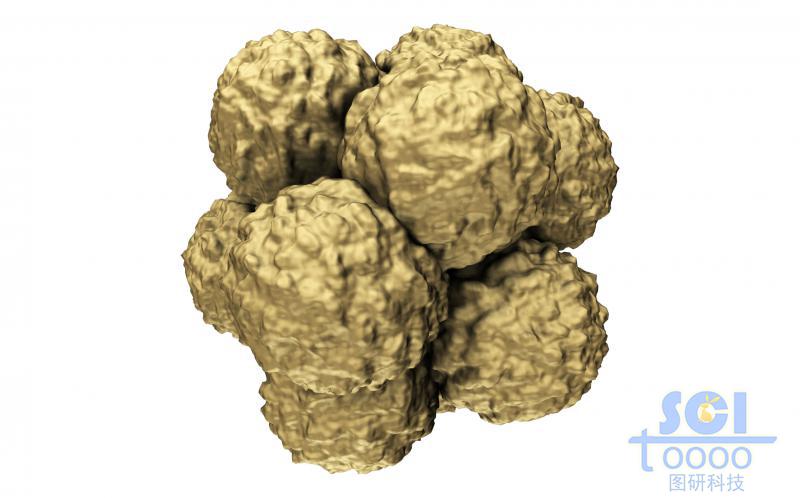 多個(gè)細(xì)胞堆積的細(xì)胞團(tuán)/腫瘤示意