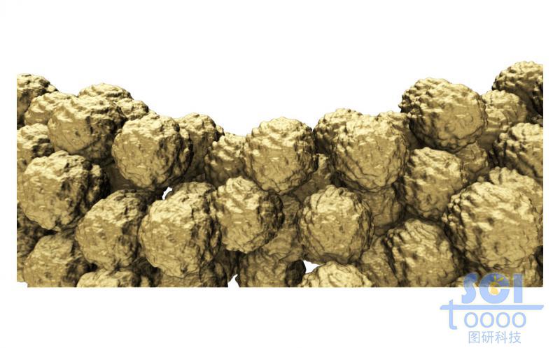 多個(gè)細(xì)胞堆積的細(xì)胞團(tuán)/腫瘤示意