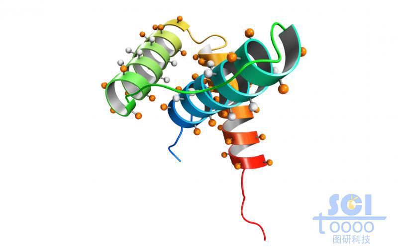 蛋白質(zhì)結(jié)構(gòu)