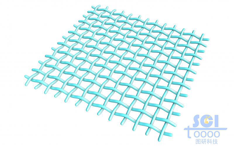 縱橫交錯(cuò)的網(wǎng)狀膜結(jié)構(gòu)