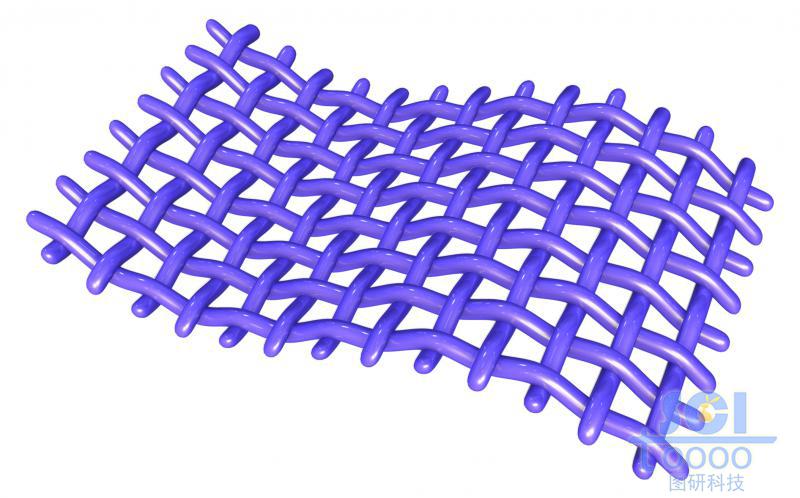 縱橫交錯(cuò)的網(wǎng)狀膜結(jié)構(gòu)