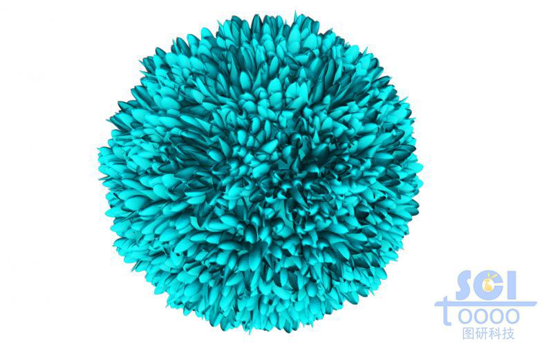 花瓣?duì)顖F(tuán)簇形成的納米顆粒/微球