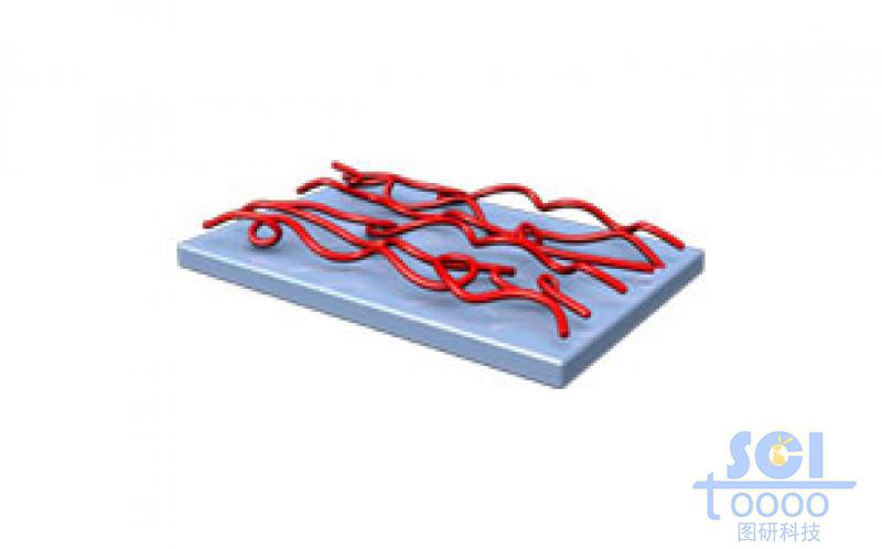 高分子鏈膜結(jié)構(gòu)的生物活性表面