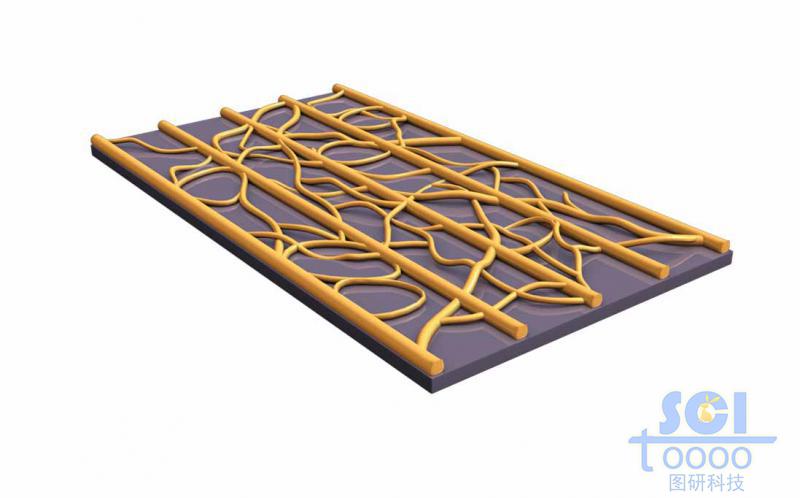 高分子鏈段堆積形成的疏水膜