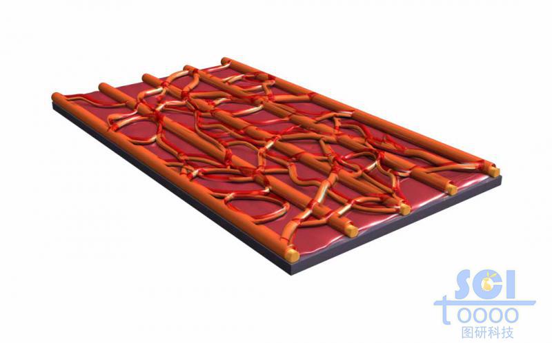 高分子鏈段堆積形成的疏水膜