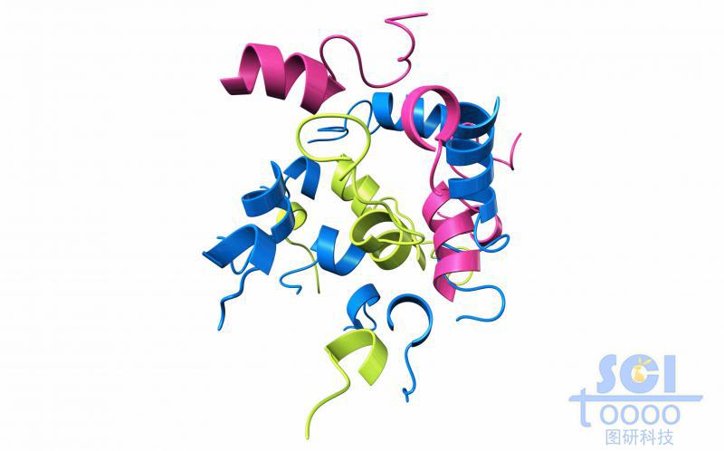 蛋白質(zhì)、蛋白結(jié)構(gòu)