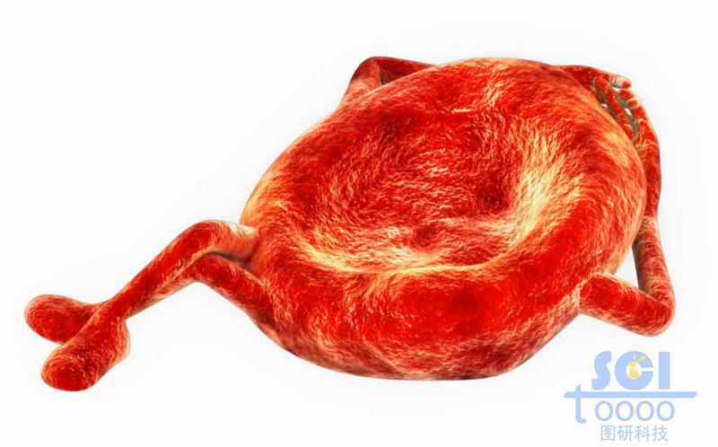 卡通的血紅細(xì)胞