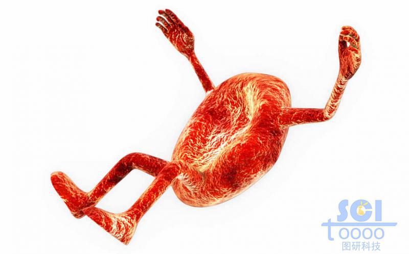 卡通的血紅細(xì)胞