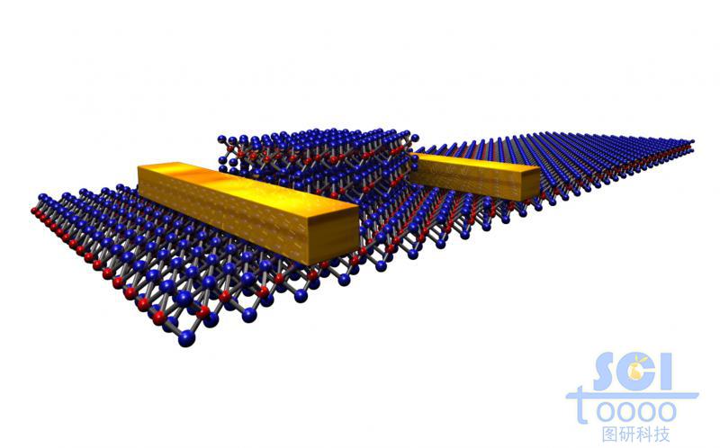 MoS2（二硫化鉬） 多層結(jié)器件