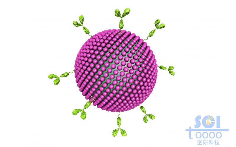 光子吸附金納米粒子