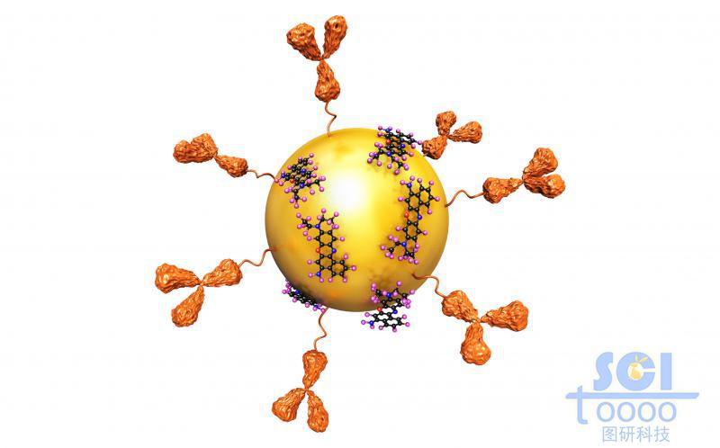 抗體吸附金納米粒子