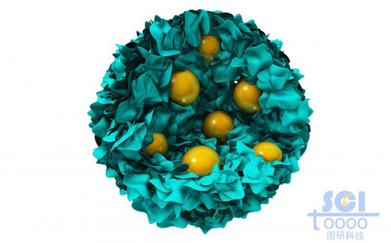 不加氧化物的包裹顆粒結構