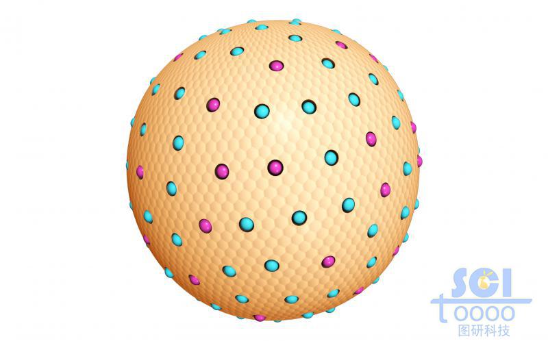 表面鑲嵌不同粒子的多孔納米球