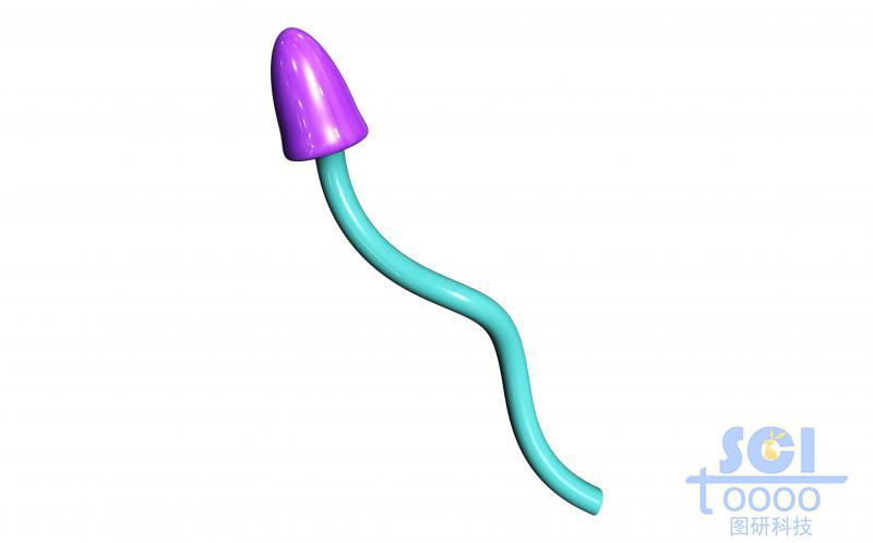 靶頭/靶頭單體模式圖