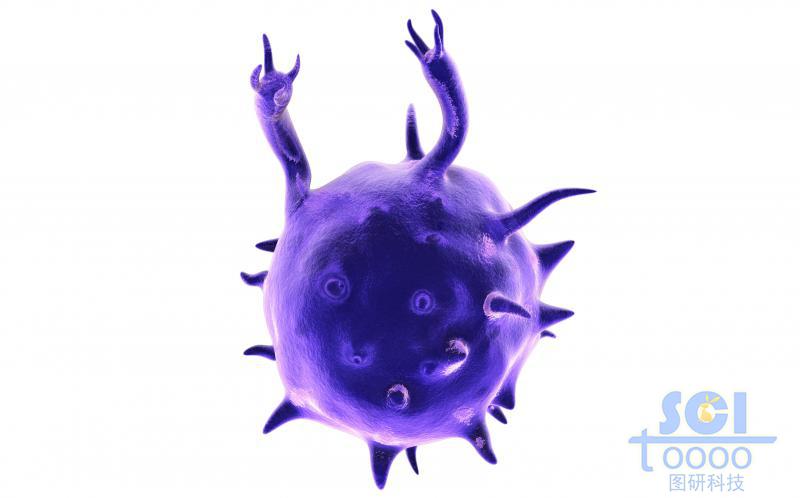 活化帶觸角的單個(gè)細(xì)胞