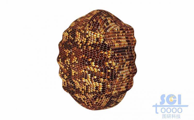 蜂窩狀多孔結(jié)構(gòu)